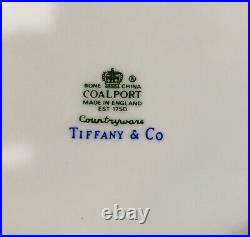 Vintage 1979 Tiffany Coalport Bone China Casserole Stew Dish w. Lid Hand Painted